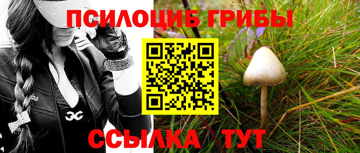 Новокуйбышевск  Псилоцибиновые грибы MAGIC MUSHROOMS  Вход с VPN 