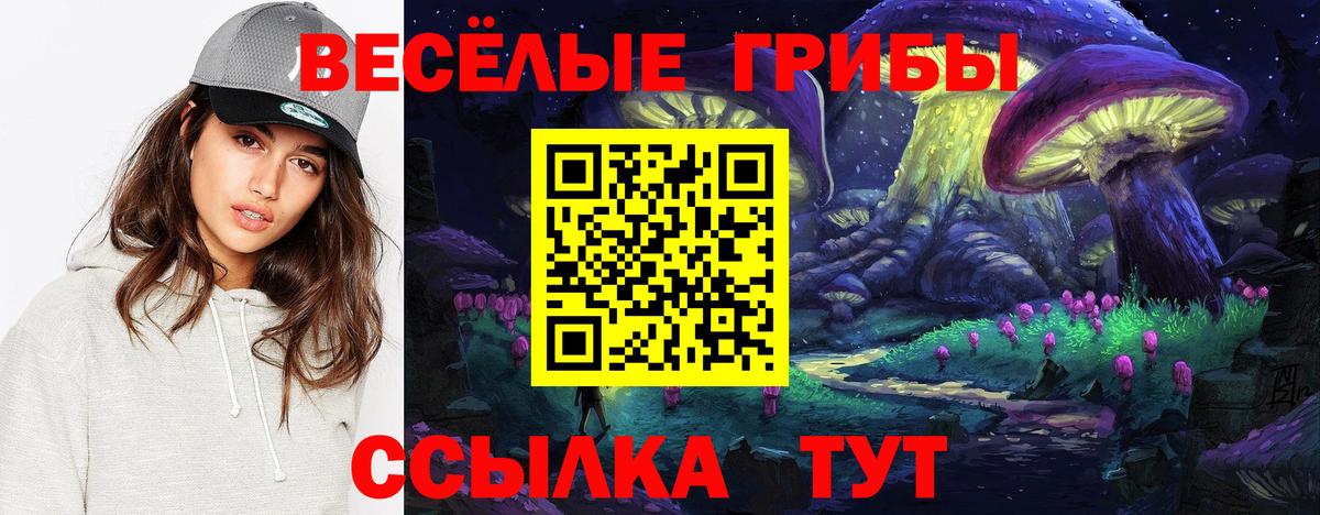 Галлюциногенные грибы MAGIC MUSHROOMS Новокуйбышевск